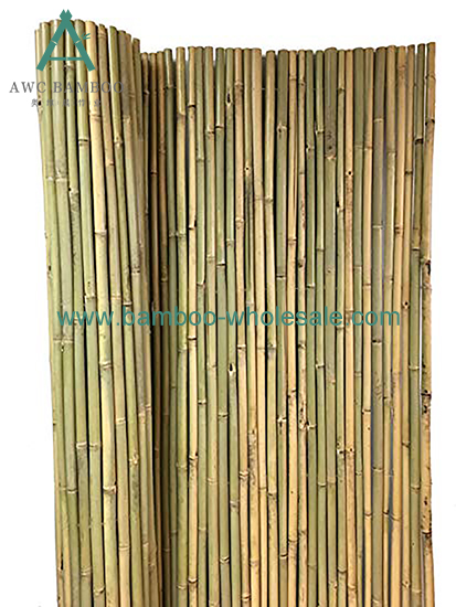 Tonkin Bamboo Fence